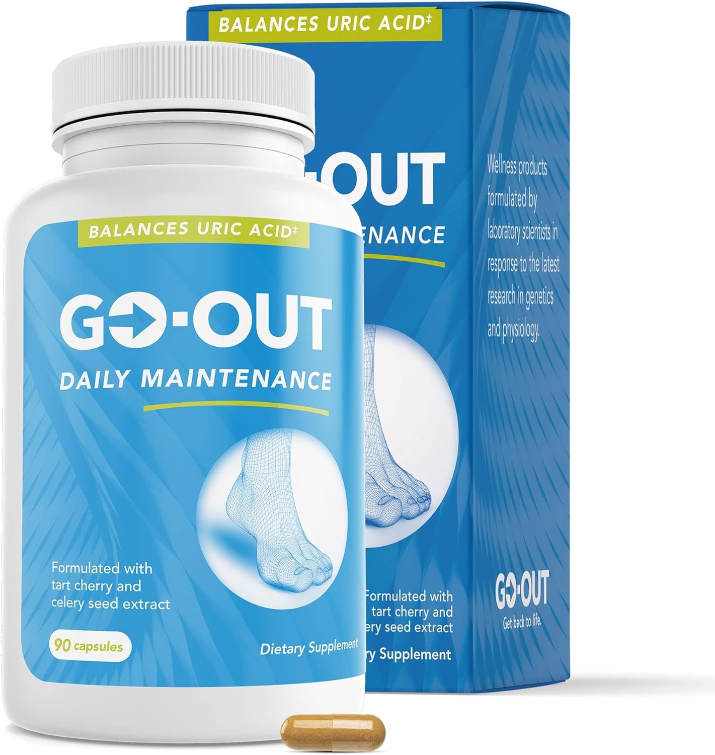 Go Out Daily Maintenance Review