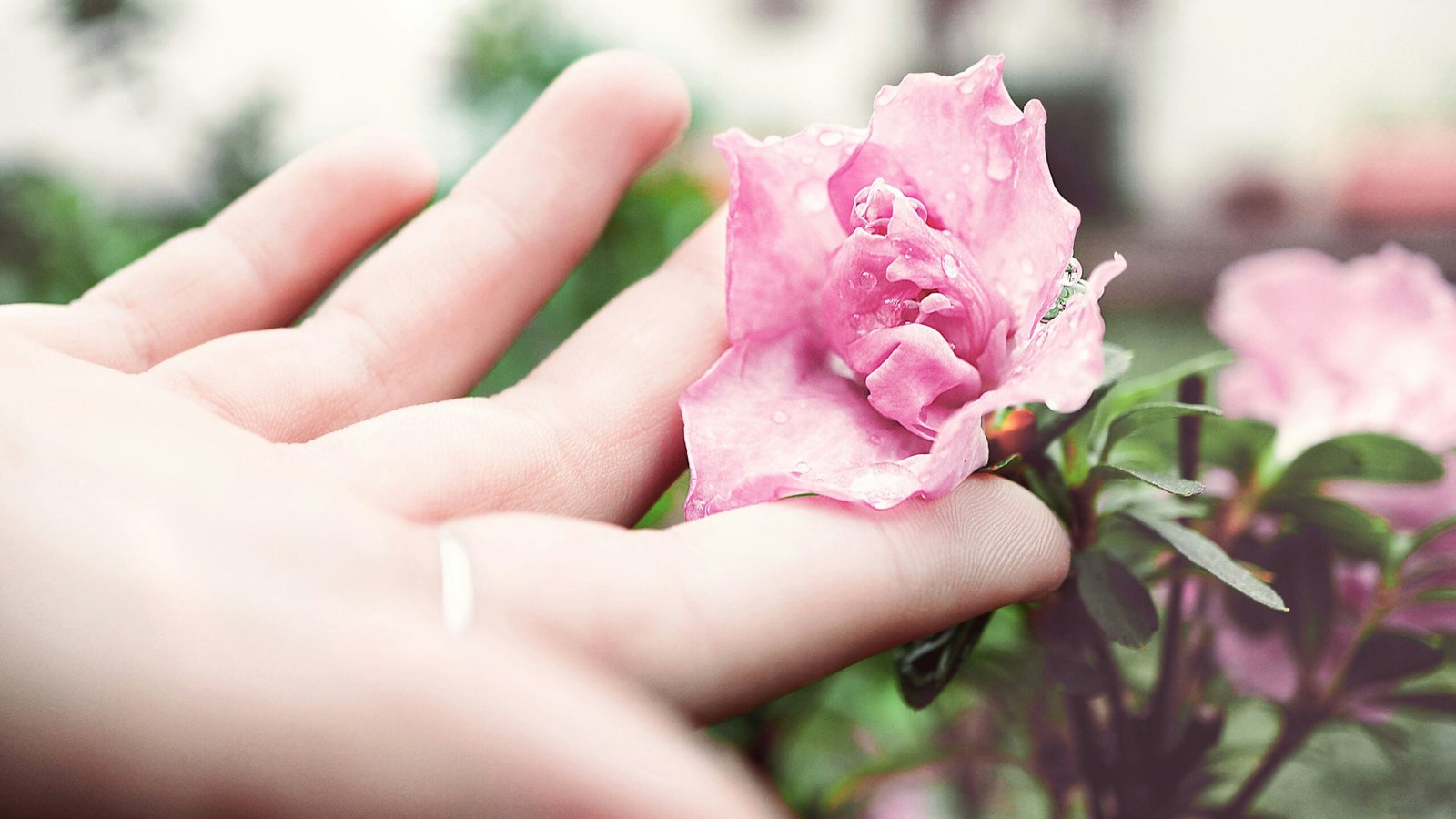 How Do They Determine If You Have Gout?